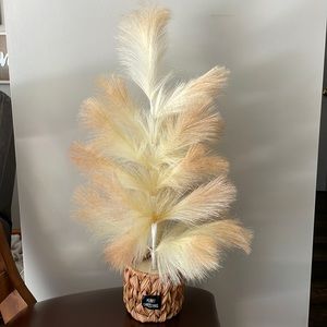 Pamas Grass Christmas tree